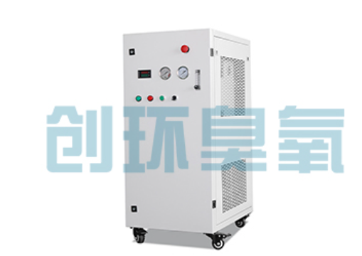 鹤壁石斑鱼养殖水质调控完整指南:臭氧发生器配置与操作步骤