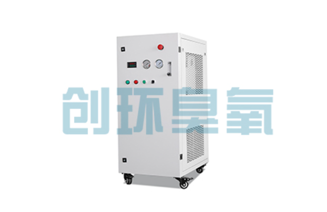 鹤壁比传统换水更高效?臭氧发生器在石斑鱼养殖中的水质净化原理解析